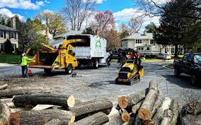 Best Aeration Services  in Forestville, CA