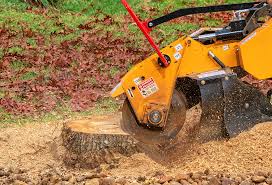 Best Hazardous Tree Removal  in Forestville, CA